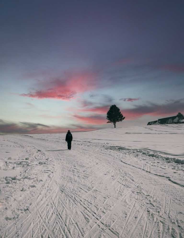 Kashmir Paradise Tour — 5 Nights / 6 Days